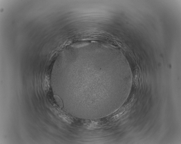 X0000074290772200609011406