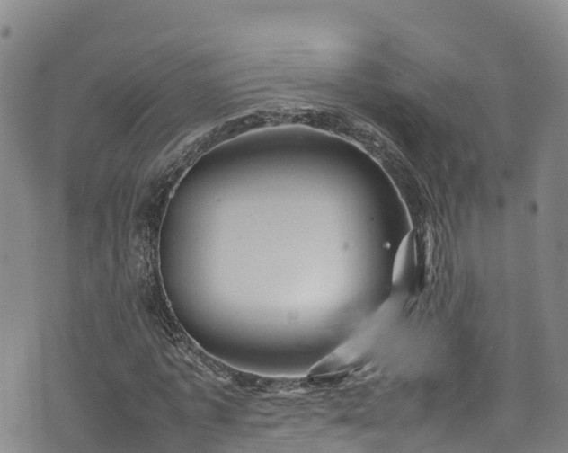 X0000074290773200609011406