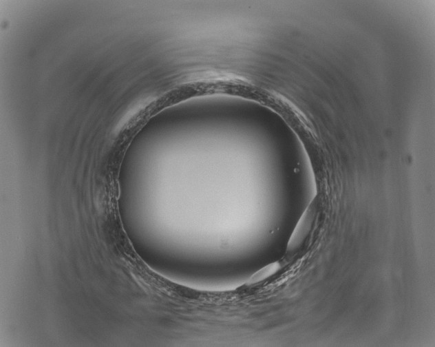 X0000074290775200609011406