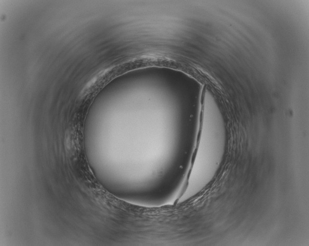 X0000074290776200609011406