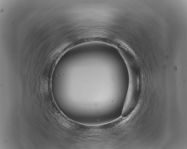 X0000074290777200609011406