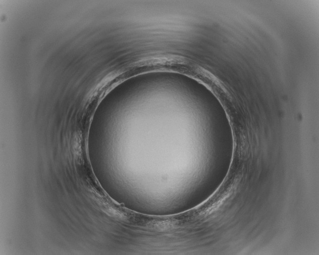 X0000074290778200609011406