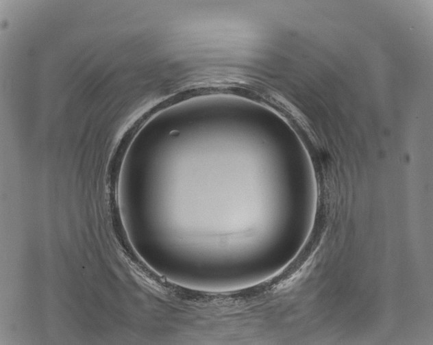 X0000074290779200609011406