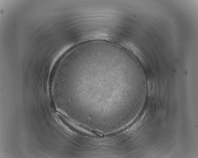 X0000074290780200609011406