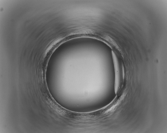 X0000074290781200609011406