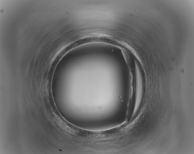 X0000074290783200609011406