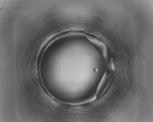 X0000074290784200609011406