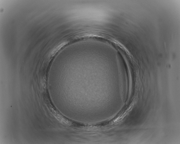 X0000074290785200609011406