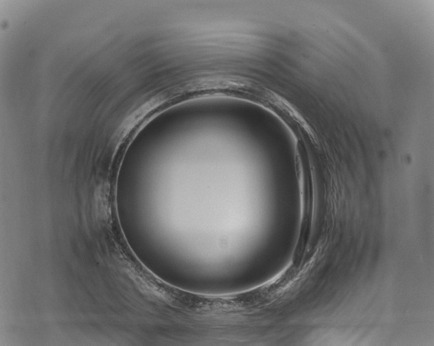 X0000074290786200609011406