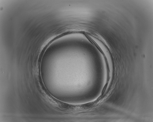 X0000074290787200609011406