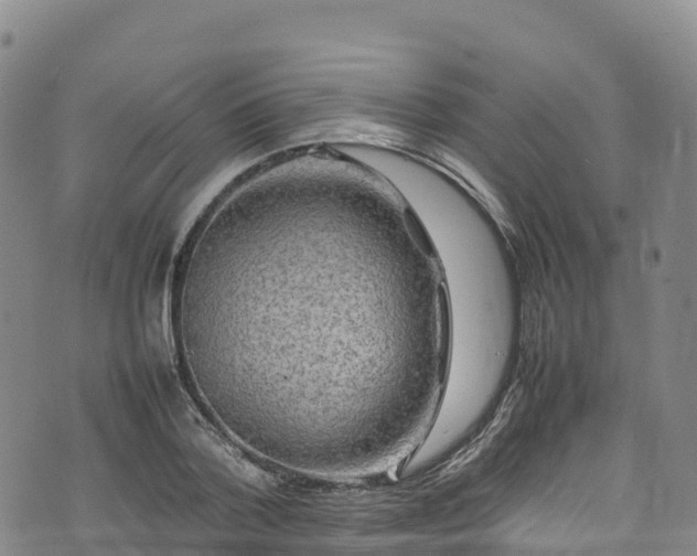 X0000074290788200609011406