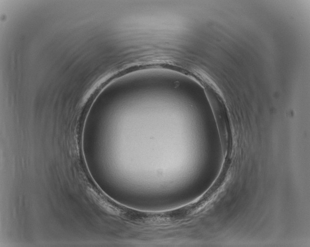 X0000074290789200609011406