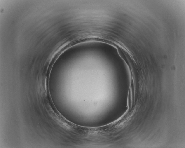 X0000074290790200609011406