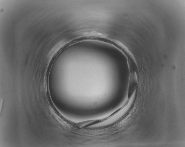 X0000074290791200609011406