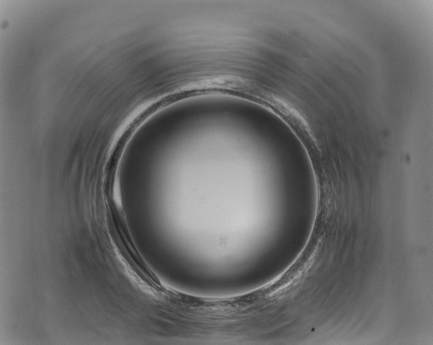 X0000074290792200609011406