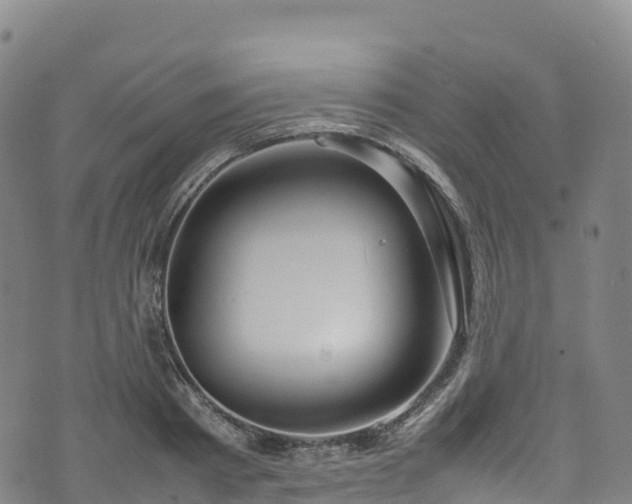 X0000074290793200609011406