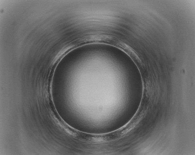 X0000074290794200609011406