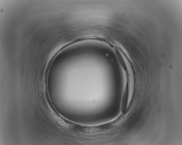 X0000074290795200609011406