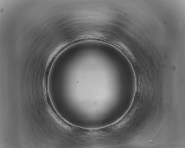 X0000074290796200609011406