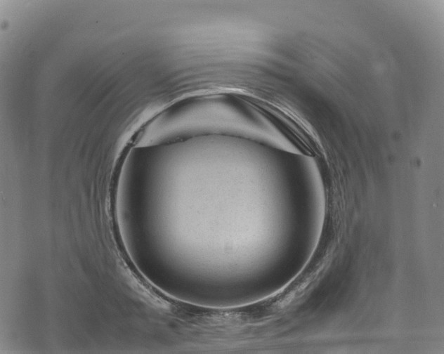 X0000074290797200609011406