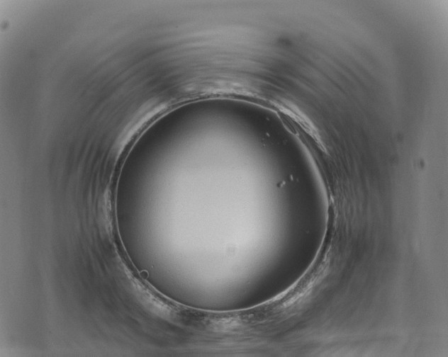 X0000074290798200609011406