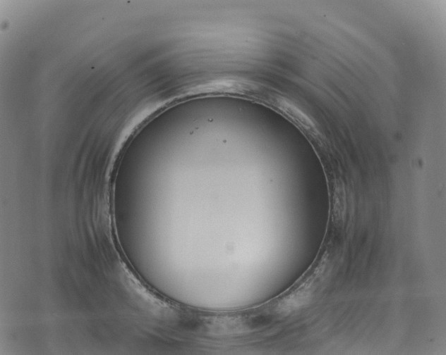 X0000074290800200609011406