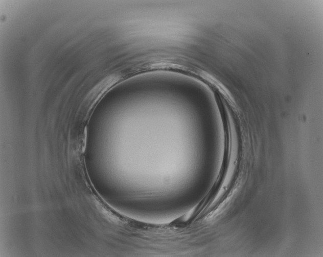 X0000074290801200609011405