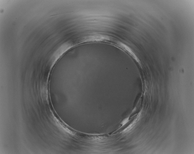 X0000074290802200609011405