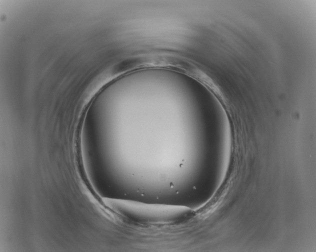 X0000074290803200609011405