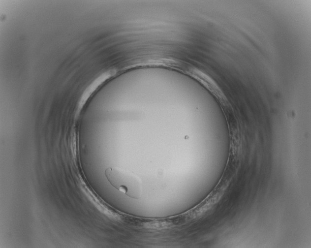 X0000074290804200609011405