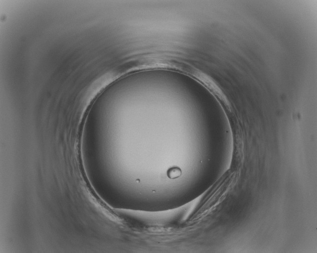 X0000074290805200609011405