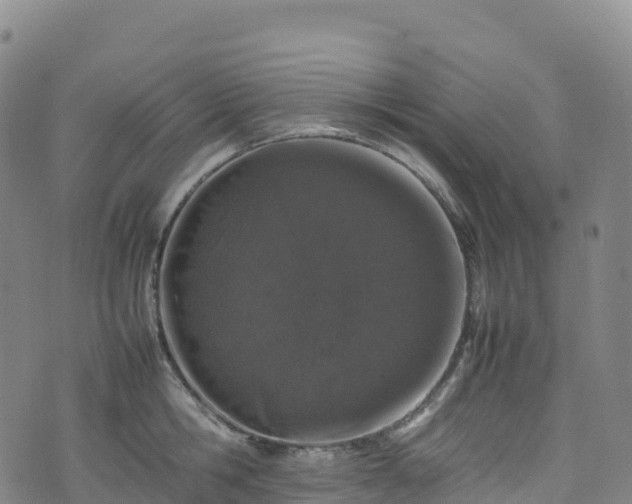 X0000074290806200609011405