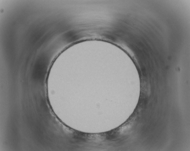 X0000074290807200609011405