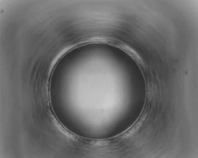 X0000074290808200609011405