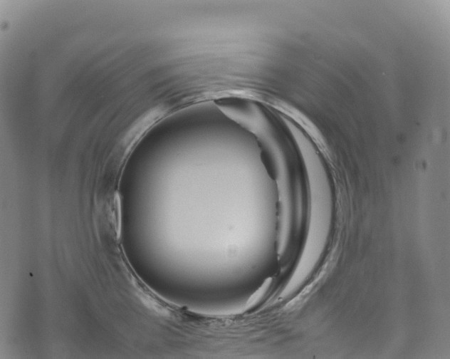 X0000074290809200609011405