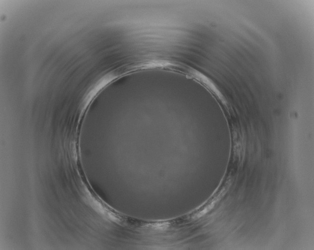 X0000074290810200609011405