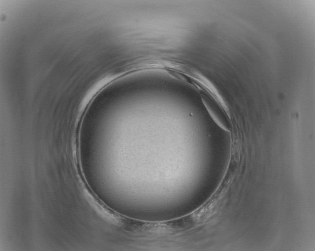 X0000074290811200609011405