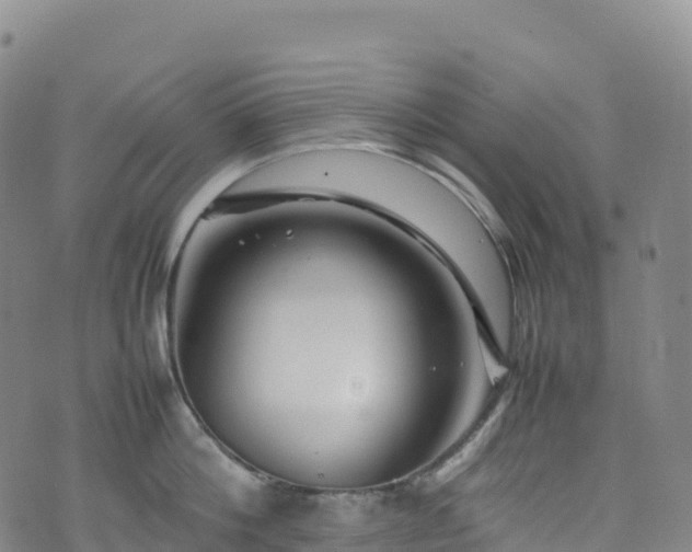 X0000074290812200609011405