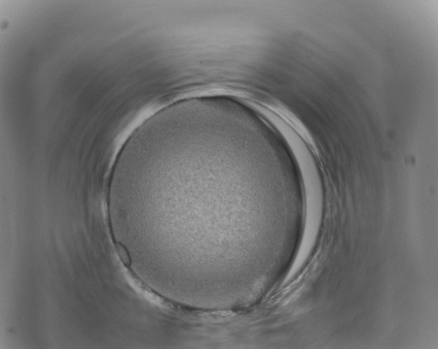 X0000074290813200609011405