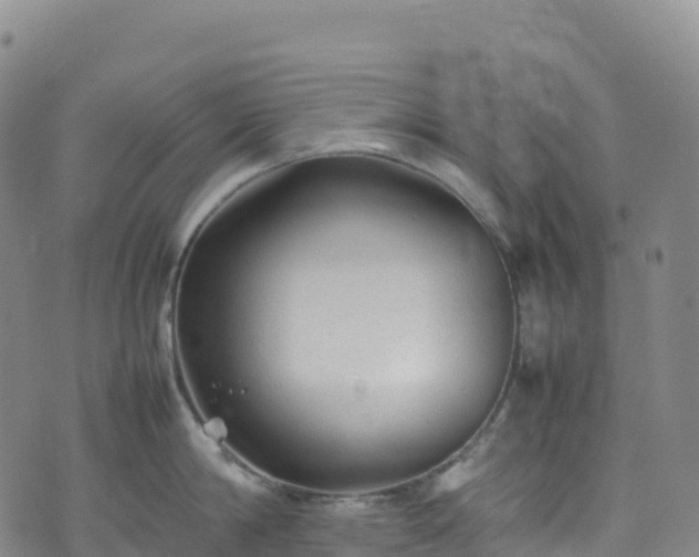 X0000074290814200609011405