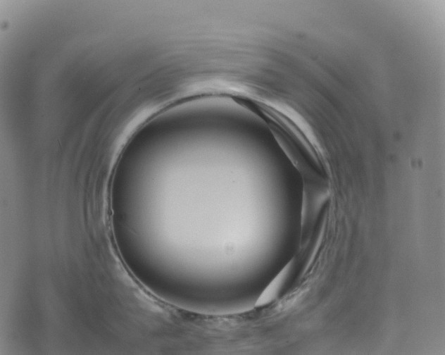 X0000074290815200609011405