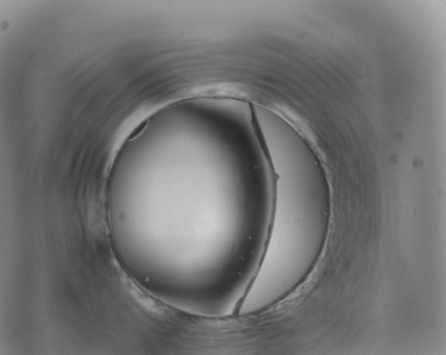 X0000074290816200609011405