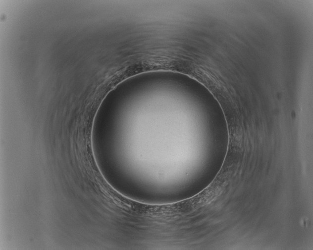 X0000074290817200609011404