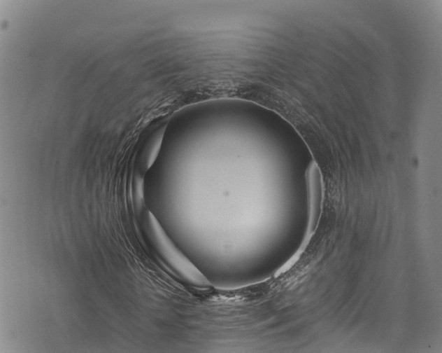 X0000074290818200609011404