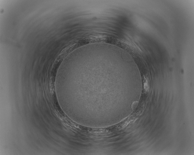 X0000074290819200609011404