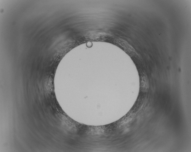 X0000074290820200609011405