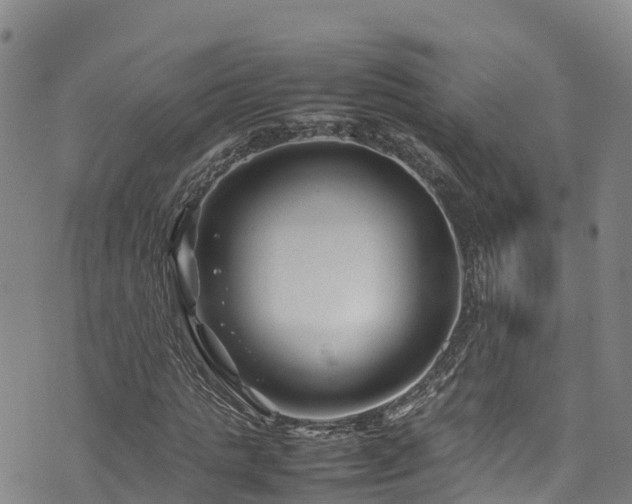 X0000074290821200609011405