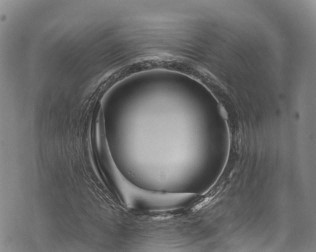 X0000074290822200609011405