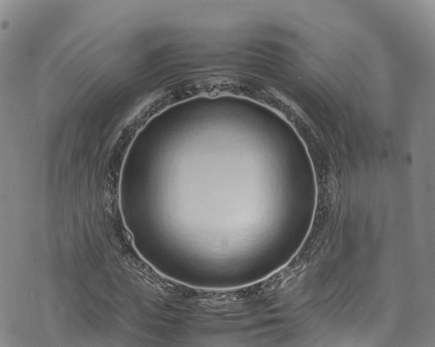 X0000074290823200609011405