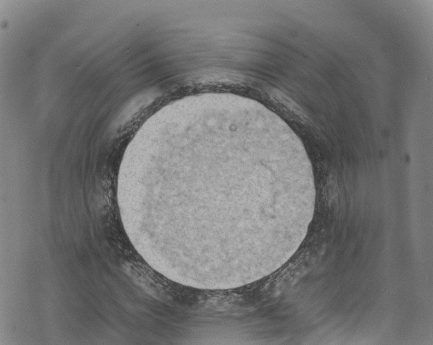 X0000074290824200609011405